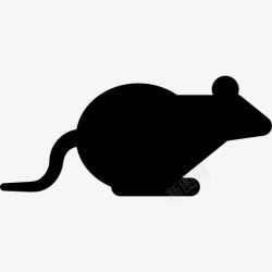 哺乳动物啮齿类动物坐在鼠标图标高清图片