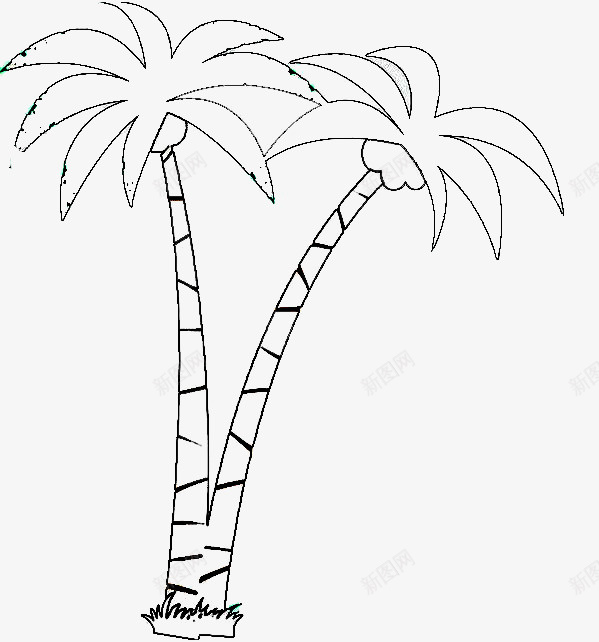 树简笔画图标png_新图网 https://ixintu.com 插图可用 树 树简笔 椰子 椰子树 简笔画 黑色线条