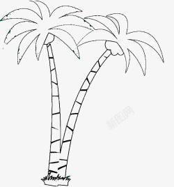 黑色椰子树树简笔画图标高清图片