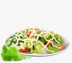 沙拉酱美味蔬菜沙拉高清图片