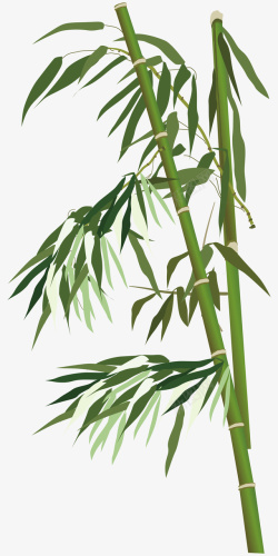 竹叶免抠图卡通竹子和竹叶图高清图片