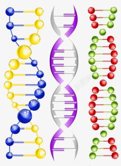 DNA结构模型素材