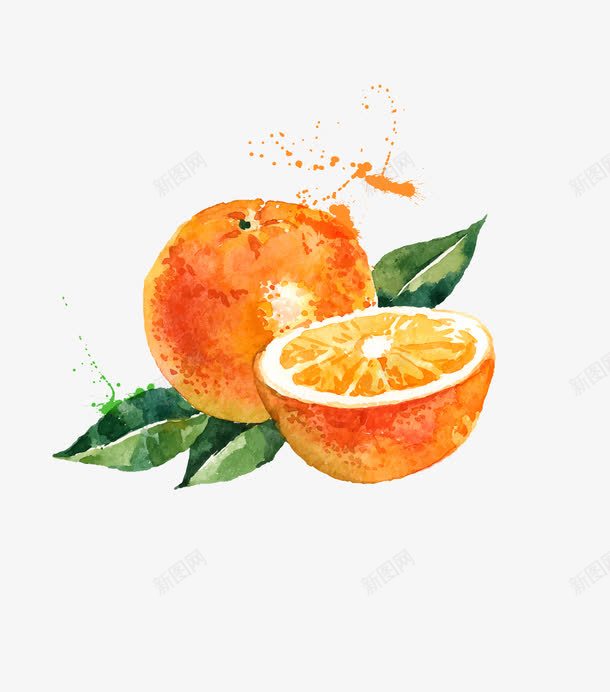 手绘水彩水果橙子png免抠素材_新图网 https://ixintu.com 手绘橙子 橙子素材 水彩橙子 水果 矢量橙子
