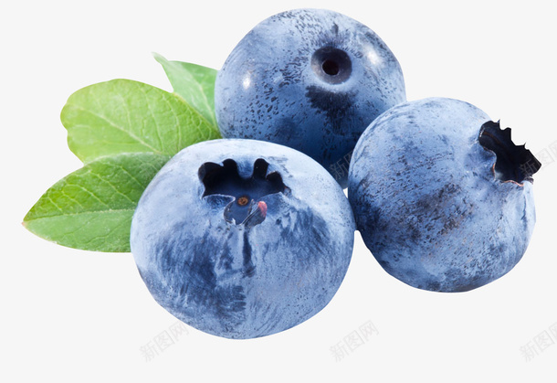 蓝莓昂贵水果png免抠素材_新图网 https://ixintu.com 水果 绿叶 蓝紫色 蓝莓