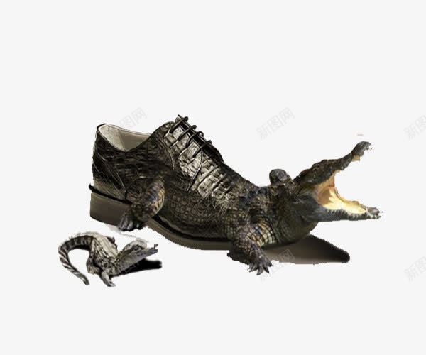 鳄鱼皮鞋png免抠素材_新图网 https://ixintu.com 广告 皮鞋 简约 鳄鱼 鳄鱼皮皮鞋