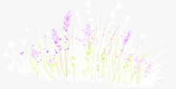 合成创意手绘开放的春天花卉素材