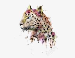 斑点豹水彩手绘猎豹高清图片