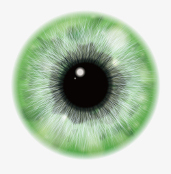 绿色眼睛眼珠矢量图素材
