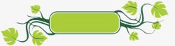 分类框绿色藤蔓banner高清图片