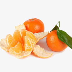 砂糖橘手绘砂糖橘高清图片