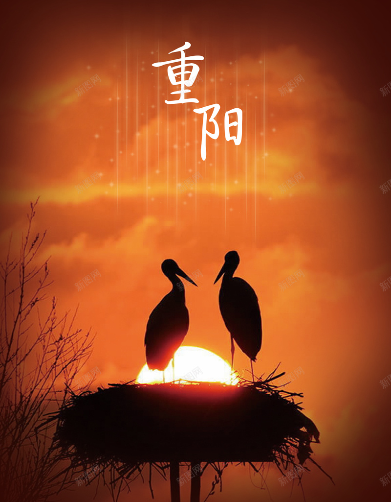 最美夕阳白鹭重阳海报背景psdpsd设计背景_新图网 https://ixintu.com psd 中国风 夕阳 最美夕阳 海报背景 白鹭 重阳 重阳节