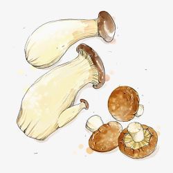 手绘香菇菌类食物高清图片