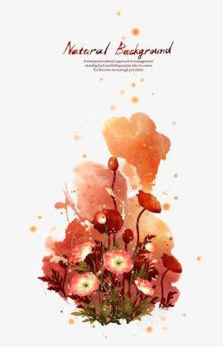 橙色水彩画水印罂粟花背景高清图片