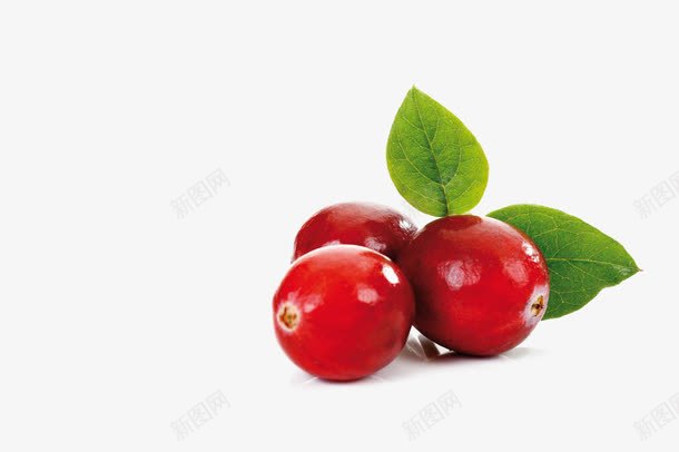 蔓越莓png免抠素材_新图网 https://ixintu.com 新鲜 有机水果 蔓越莓 颗粒