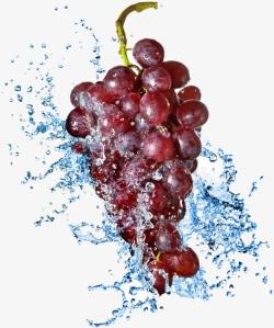 水葡萄创意水中的葡萄高清图片