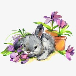 紫色花朵盆栽和灰色小兔子素材
