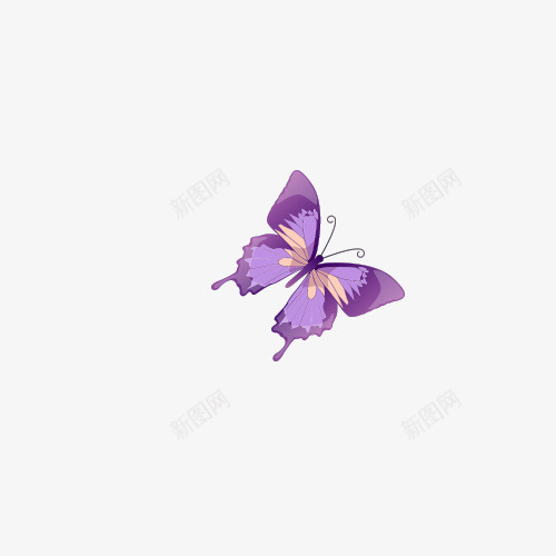 又是紫色的蝴蝶png免抠素材_新图网 https://ixintu.com 卡通手绘 小动物 春天 浪漫