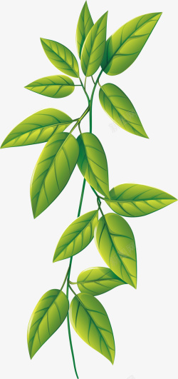 绿色叶片袋子一枝树枝手绘绿叶元素矢量图高清图片