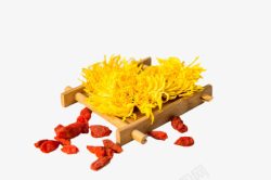 黄色的金丝菊木架子上旁边配有红色枸杞的黄色高清图片