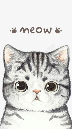 灰色猫咪猫咪卡通高清图片