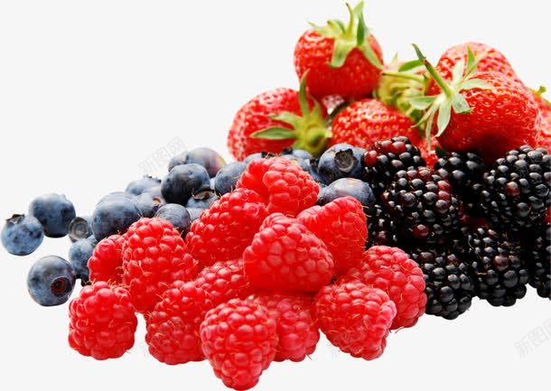 各种水果png免抠素材_新图网 https://ixintu.com 各种 桑葚 水果 草莓 蓝莓