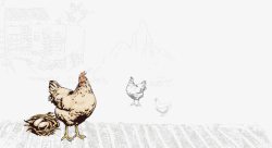 土鸡鸡蛋宣传图手绘田园生活土鸡生活高清图片