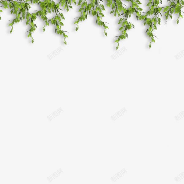 绿色大树藤条植物png免抠素材_新图网 https://ixintu.com 大树 植物 绿色 藤条