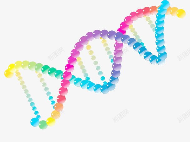 彩色DNA基因检测链png免抠素材_新图网 https://ixintu.com DNA 基因 基因检测 彩色 检测链