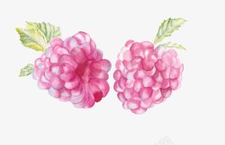 创意手绘水彩植物水果树莓素材
