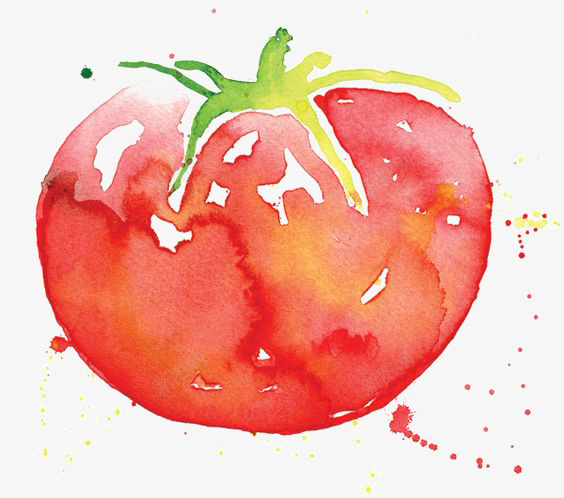 水彩西红柿png免抠素材_新图网 https://ixintu.com 手绘西红柿 番茄 蔬菜