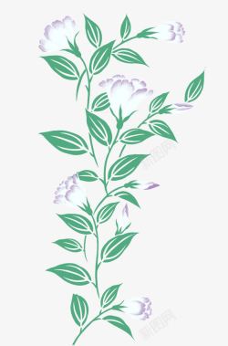 线条缠绕绿色植物花藤纹高清图片