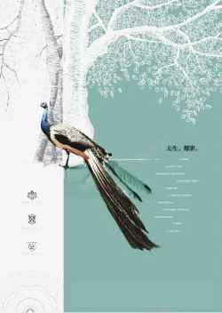 中国风广告创意中国风孔雀高清图片