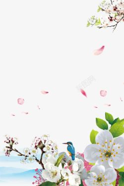 最唯美的春季清新唯美梨花海报背景高清图片