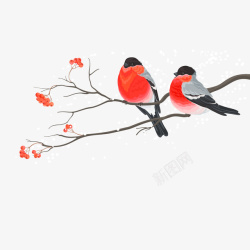 300像素图手绘爱情鸟高清图片
