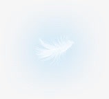 创意合成光效白色的羽毛png免抠素材_新图网 https://ixintu.com 创意 合成 白色 羽毛