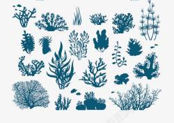 藻植物珊瑚和藻类的蓝色轮廓高清图片