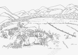 收割农地麦子插图手绘白描插图收割麦子场景高清图片