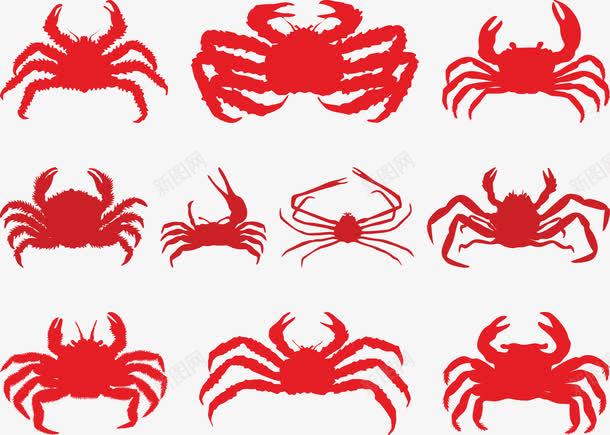 大闸蟹矢量图图标ai_新图网 https://ixintu.com 大闸蟹 年底美食 红色的螃蟹 美味食品 矢量图