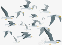 灰白色空中飞翔的海鸥矢量图素材