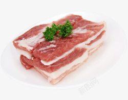 生鲜猪肉五花肉素材