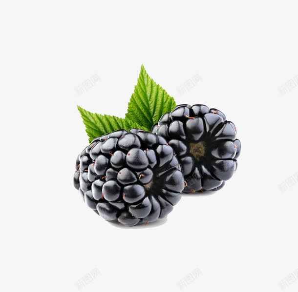 树莓png免抠素材_新图网 https://ixintu.com 树莓 水果 黑色