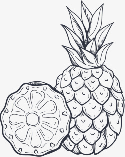 一个菠萝夏季水果手绘菠萝高清图片