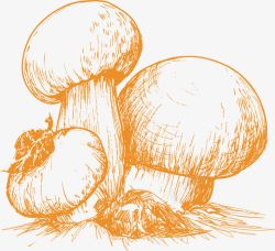 椴木野生菌菇一堆蘑菇高清图片