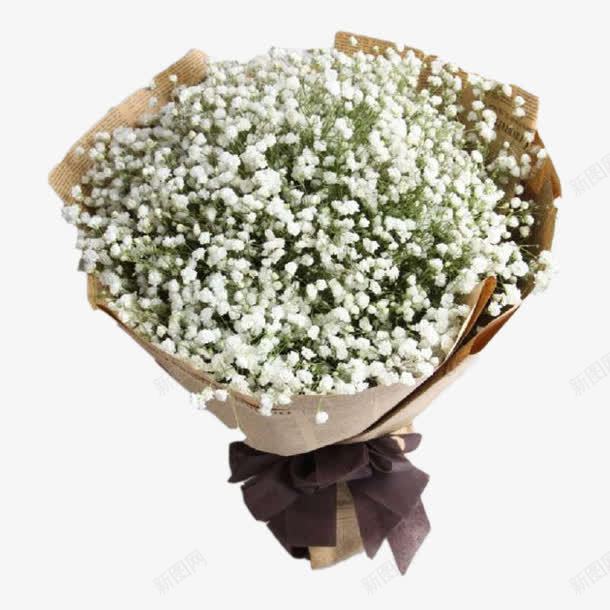 满天星的祝福png免抠素材_新图网 https://ixintu.com 一束 植物 白色 百花 花卉 花朵