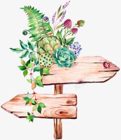 摄影合成手绘模板植物花卉素材