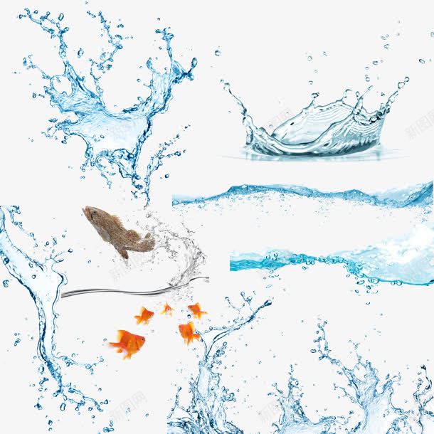 蓝色水滴和波浪金鱼png免抠素材_新图网 https://ixintu.com 水滴 波浪 蓝色 金鱼