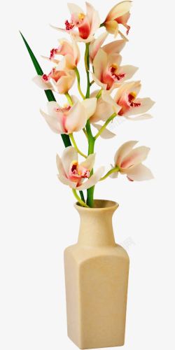 春天花朵背景花瓶高清图片
