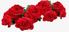 玫瑰花束png免抠素材_新图网 https://ixintu.com 几朵玫瑰花 婚礼 求婚 浪漫 红色玫瑰