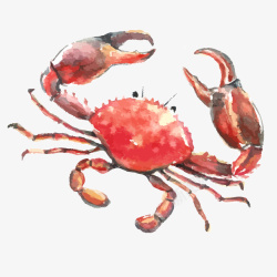 红色手绘螃蟹大闸蟹素材