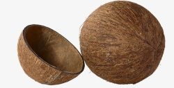 棕色椰子壳素材